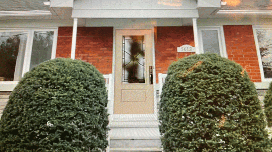 Le travail des policiers en violence conjugale